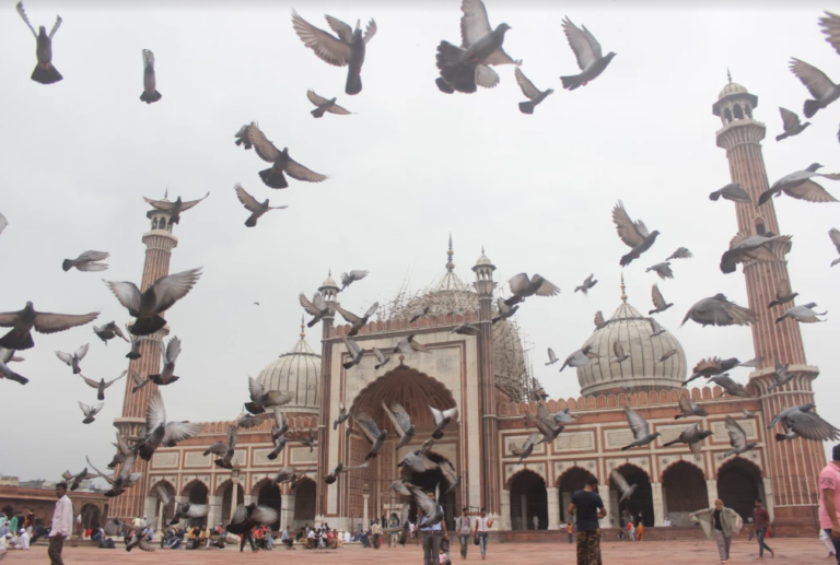 Ibaarat-e-Imaaratan:Cultural and Sociopolitical realities of Heritage Spaces in Delhi