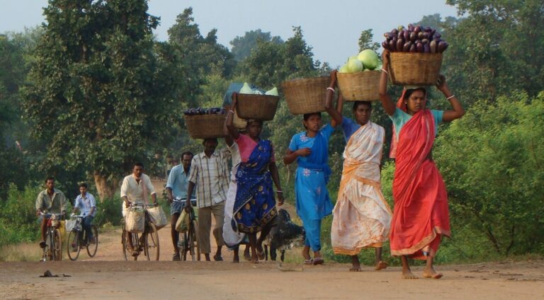 Falling Female Labour Force Participation and its Developmental Consequences for India